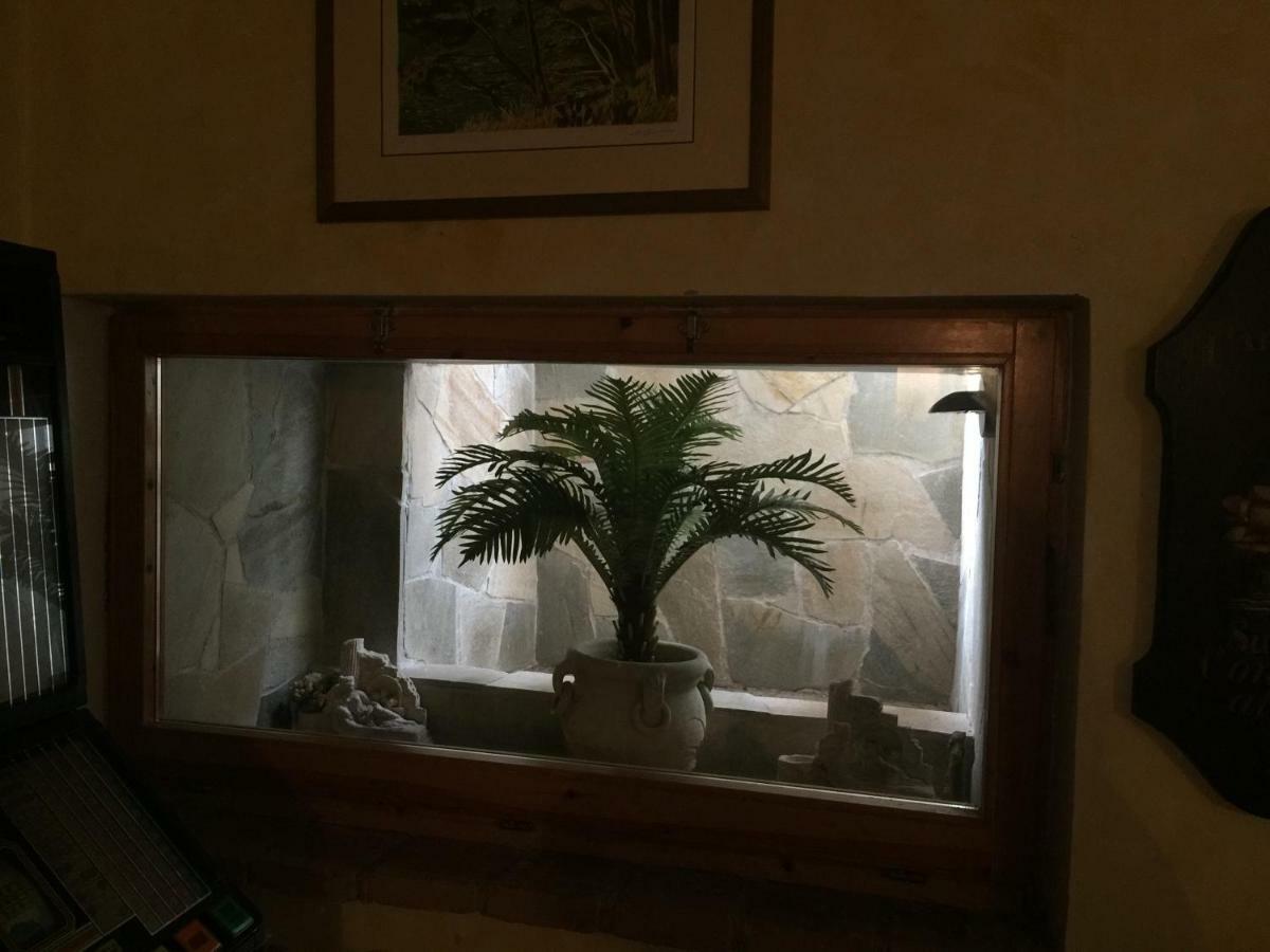 Casa Ruggy Daire Perugia Dış mekan fotoğraf